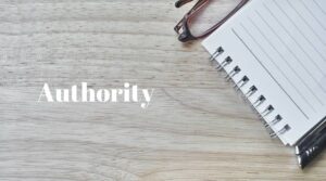 Lee más sobre el artículo ¿Qué es la autoridad en SEO?